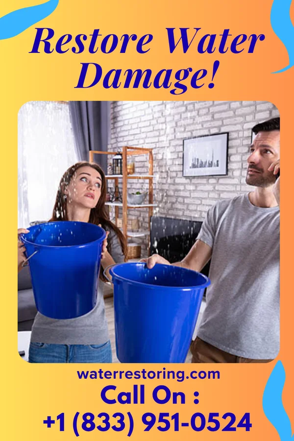 water restoration Total Water Removal Solutions Harrodsburg